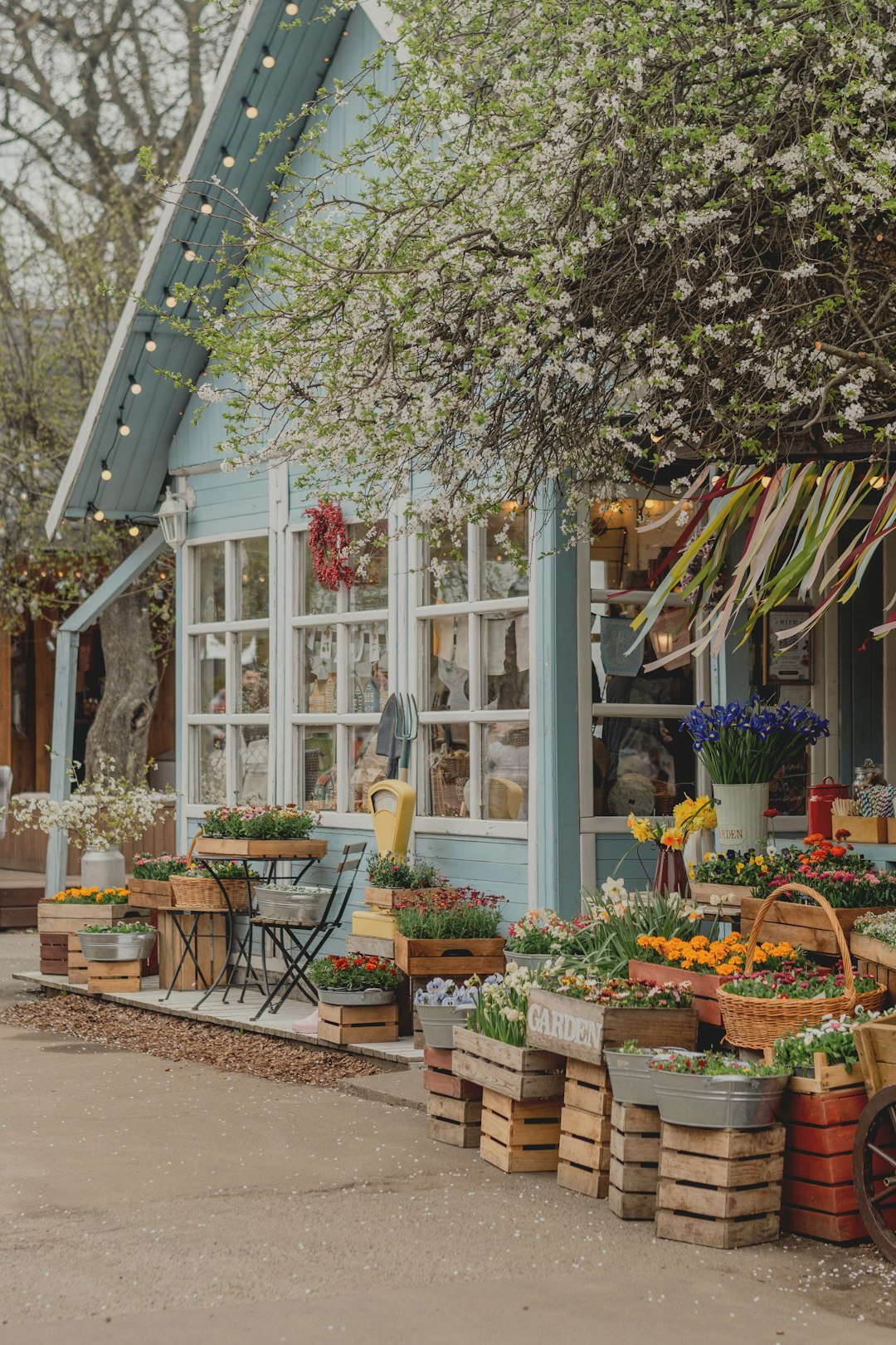 Business spotlight: Casey’s Garden Shop - The Vidette