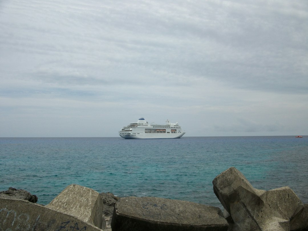 My family of 4 booked the cheapest cruise we could find. It ended up being one of the best vacations we've ever taken. - Business Insider